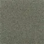 kinmel - quercus