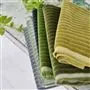 Cassia Cord Cirrus