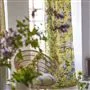 Porcelaine De Chine Alchemilla