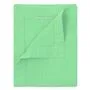 Lario Mint Placemats Set of 4