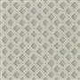 amsee geometric lichen