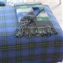 Delamere Cobalt