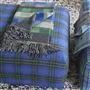 Delamere Cobalt
