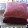 Azuara Cranberry