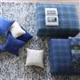 Delamere Cobalt