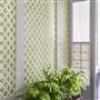 Amsee Geometric Moss