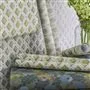 Amsee Geometric Lichen
