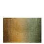 Savoie Vintage Green Standard Rug