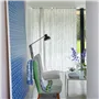 Shiwa Cobalt