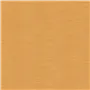 Pampas - Apricot Cutting
