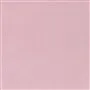 Varese - Pale Rose Cutting
