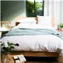 Alba Porcelain Cotton Throw