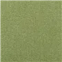 torrington - grass