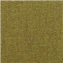 torrington - mustard