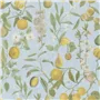 Orchard Fruits - Sky Blue Cutting