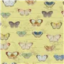 Butterfly Studies - Mimosa Large Sample