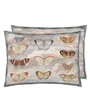Butterfly Studies - Parchment - Cushion - 60x45cm - Without Pad