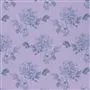 Hiyoku - Lavender Cutting