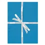 Lario Delft Half Runner