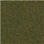 cadenza - moss