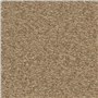 cadenza - nutmeg