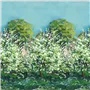 arbre de printemps alta - celadon