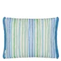 Pompano Aqua Outdoor Cushion - Reverse
