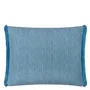 Pompano Aqua Outdoor Cushion
