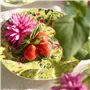 Assiettes Ikebana Damask