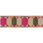 kushime fuchsia