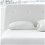 Cosmo Bed