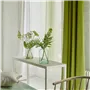 Bellavista Thyme