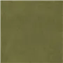 Brinzio - Moss