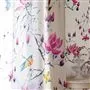 madame butterfly - peony