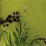 pietra - ecru