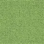 Sloane - Lime Cutting