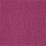 Eton - Fuchsia Cutting