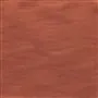 Pampas - Saffron Cutting