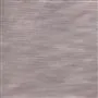 Pampas - Cappuccino Cutting