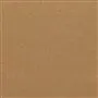 Savanna - Pumpkin Cutting