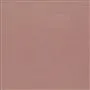 Tiber - Pale Rose Cutting