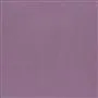 Tiber - Crocus Cutting