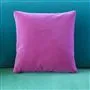 cassia - fuchsia