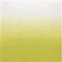 Saraille - Acacia Litho Only