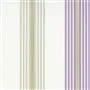 Pembroke - Lavender Cutting
