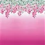 trailing rose - peony wallpaper