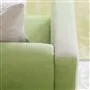 padua - grass