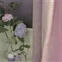 laurentino - dove