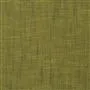 Maggia - Lemongrass Cutting