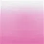 Saraille - Fuchsia Cutting